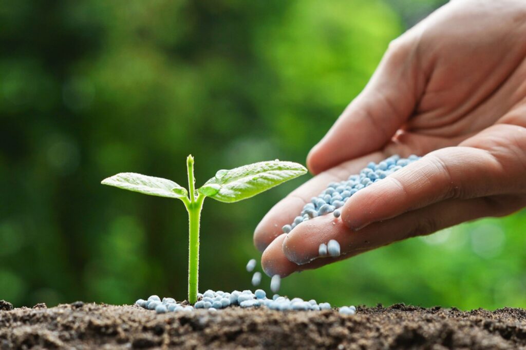 Gübreye bir zam daha!
