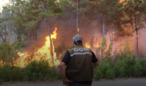 OGM 5 bin işçi alımı yapacak!