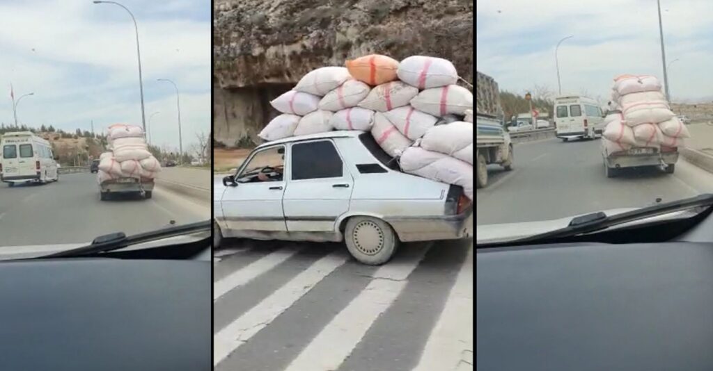 Urfa’da Toros’u kamyonet sandı!