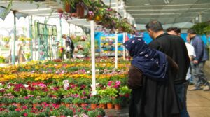 Şanlıurfa’da Bağ bahçeyle uğraşanlara kötü haber