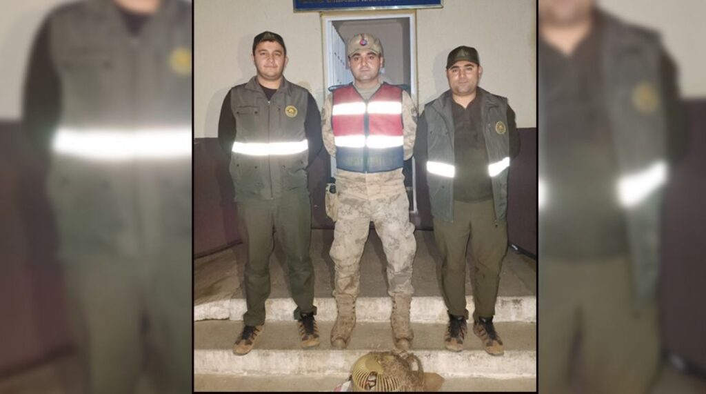 Bozova’da Jandarma kınalı kekliğe el koydu!