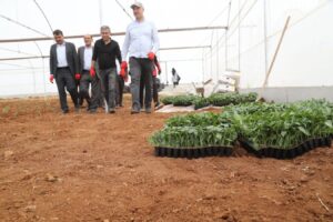 Kuş, Sera Kent’te fidan ekti