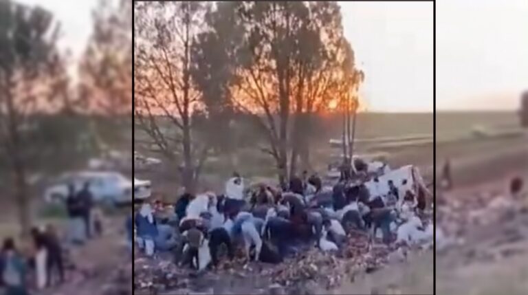 Ceylanpınar’da yaralı Sürücüyü unutup şekerleri yağmaladılar