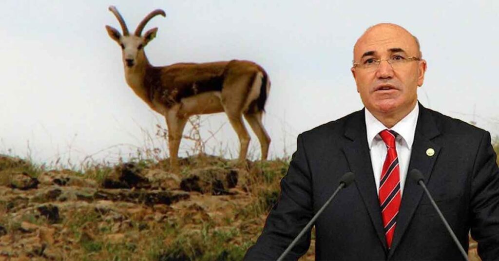 Şanlıurfa’da Ceylanları Kesenler Belli, Yiyenler Hangi Bürokratlar?