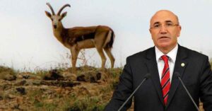 Şanlıurfa’da Ceylanları Kesenler Belli, Yiyenler Hangi Bürokratlar?