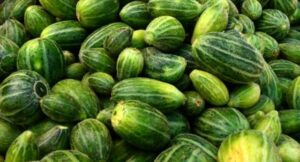 Acur üretiminde Şanlıurfa ilk dörtte