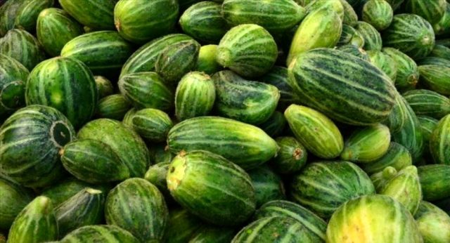 Acur üretiminde Şanlıurfa ilk dörtte