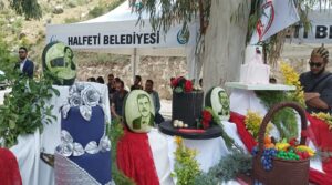 Halfeti’de meyve yemekleri festivali düzenleniyor
