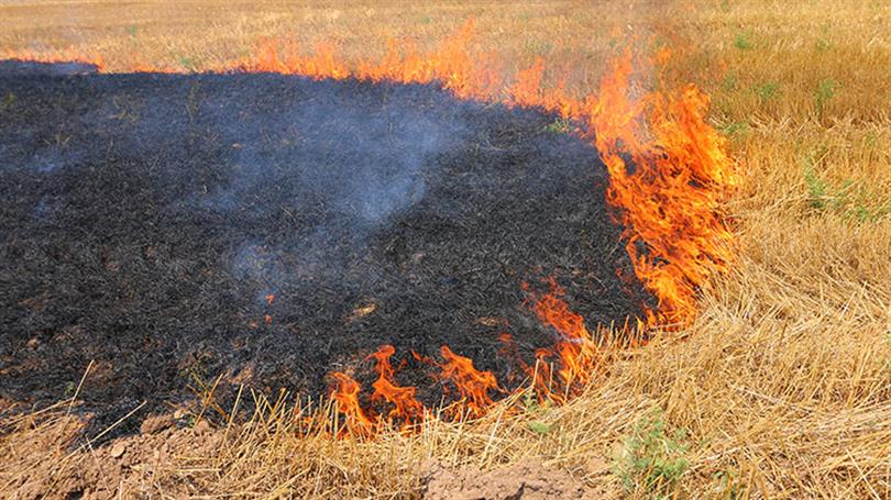 Şanlıurfa’da anız yakmak yasaklandı!