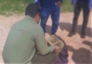 Şanlıurfa’da kaçak avlananlara idari işlem!