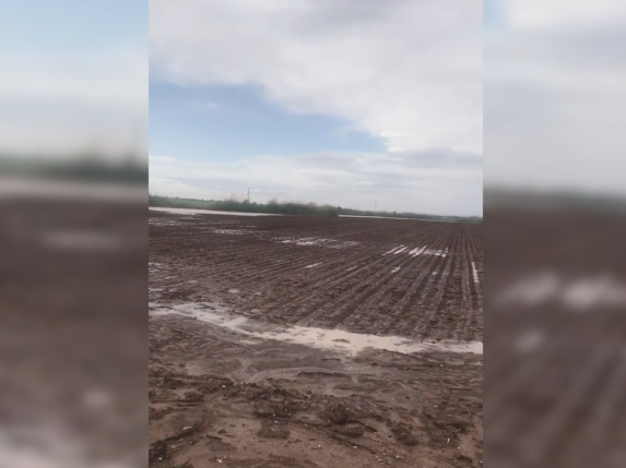 Suruç’ta tarlalar sular altında kaldı