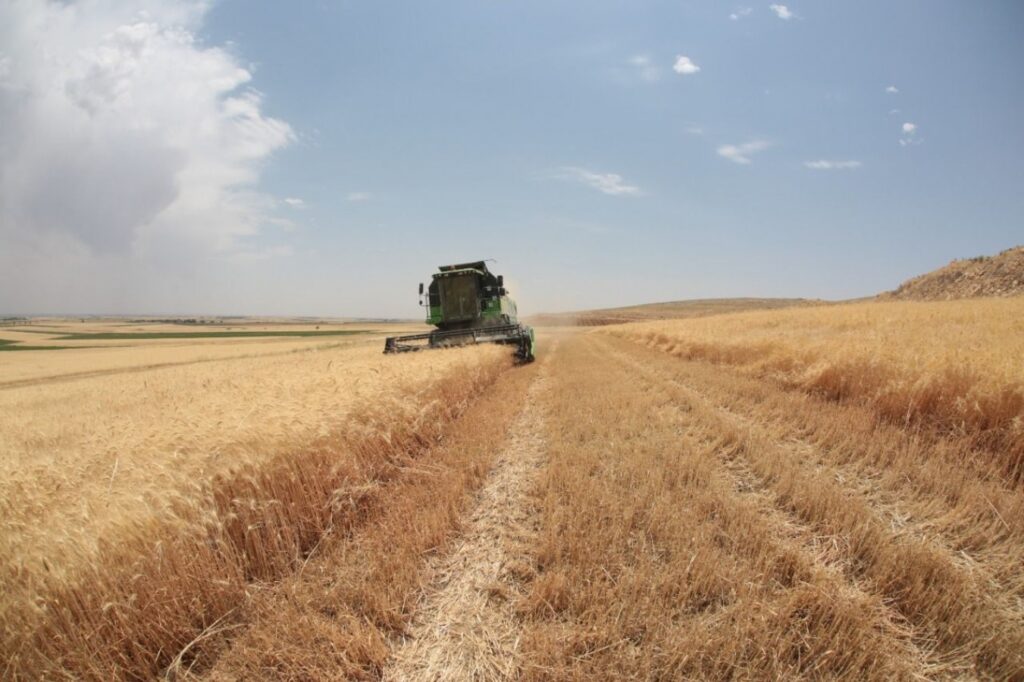 TÜİK’in açıkladığı tarımsal girdi fiyat endeksi arttı