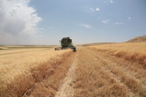 TÜİK’in açıkladığı tarımsal girdi fiyat endeksi arttı