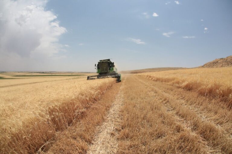 TÜİK’in açıkladığı tarımsal girdi fiyat endeksi arttı