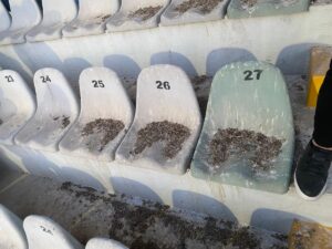 Üniversitenin kirlilik itirafı