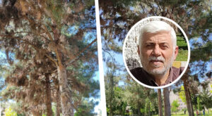 Urfalı eğitimci-yazar Sarmış: “Ağaçlar kuruyor, yazık oluyor”