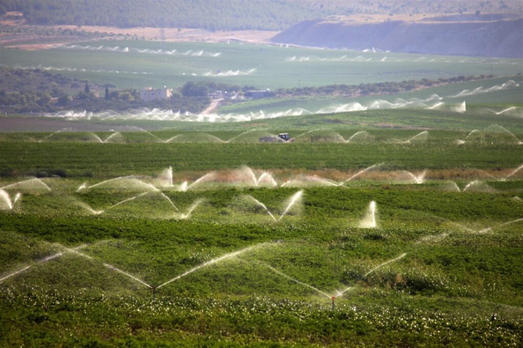 Şanlıurfa’nın ihracat ve ithalat rakamları belli oldu!
