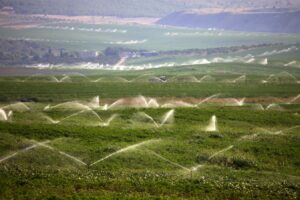 Şanlıurfa’nın ihracat ve ithalat rakamları belli oldu!