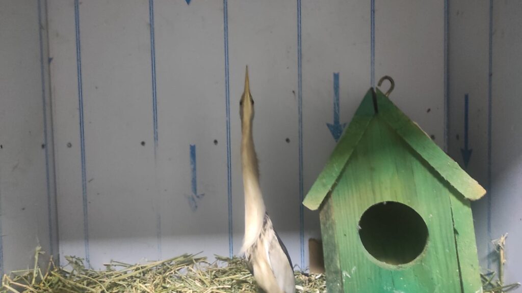 Vatandaşlardan örnek davranış