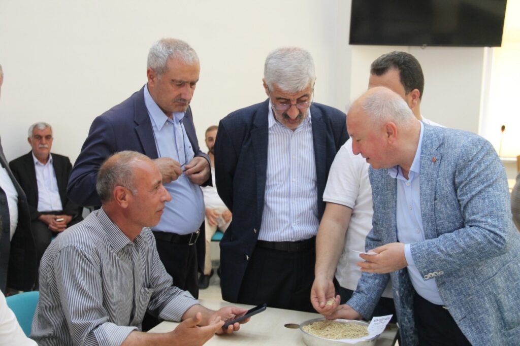 Yılın ilk hasılatı Akçakale’den çıktı