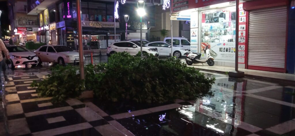 Şanlıurfa’da şiddetli rüzgar ağaçları yerinden söktü