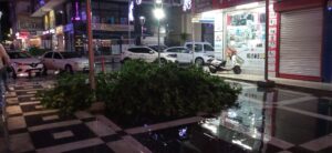 Şanlıurfa’da şiddetli rüzgar ağaçları yerinden söktü