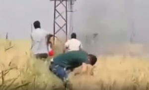 Şanlıurfa’da az kalsın buğday tarlası yanacaktı!