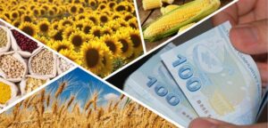 Çiftçinin destekleme ödemesi bugün hesaplara yatırılıyor