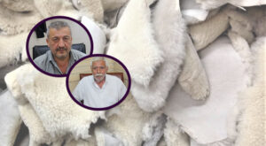 Dericilikte gidişat kötü