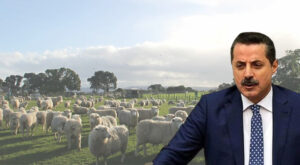 Faruk Çelik et ve süt fiyatlarını eleştirdi