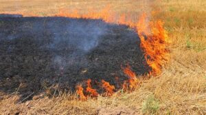 İtfaiyeden çiftçilere uyarı!