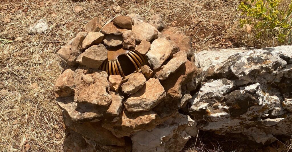 Eyyübiye’de kaçak avcılar yakalandı