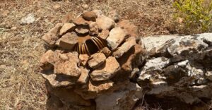 Eyyübiye’de kaçak avcılar yakalandı