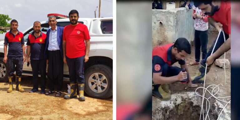 Siverek’te kuyuya düşen yavru kediyi itfaiye kurtardı!