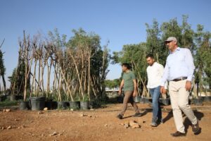 Millet Bahçesi’nde ağaçlandırma çalışmasına başlandı