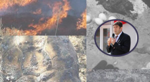 Öztürkmen: Topraktaki mikro organizmaların büyük bölümü zarar görüyor