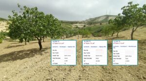 Şanlıurfa’da çok ucuz fiyata arsalar