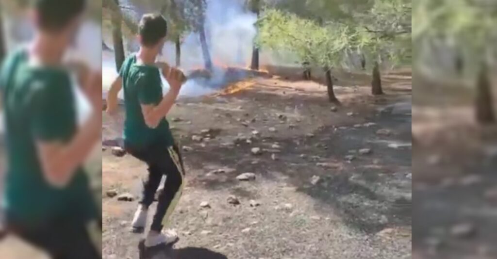 Şanlıurfa’da ormanlık alanda yangın!