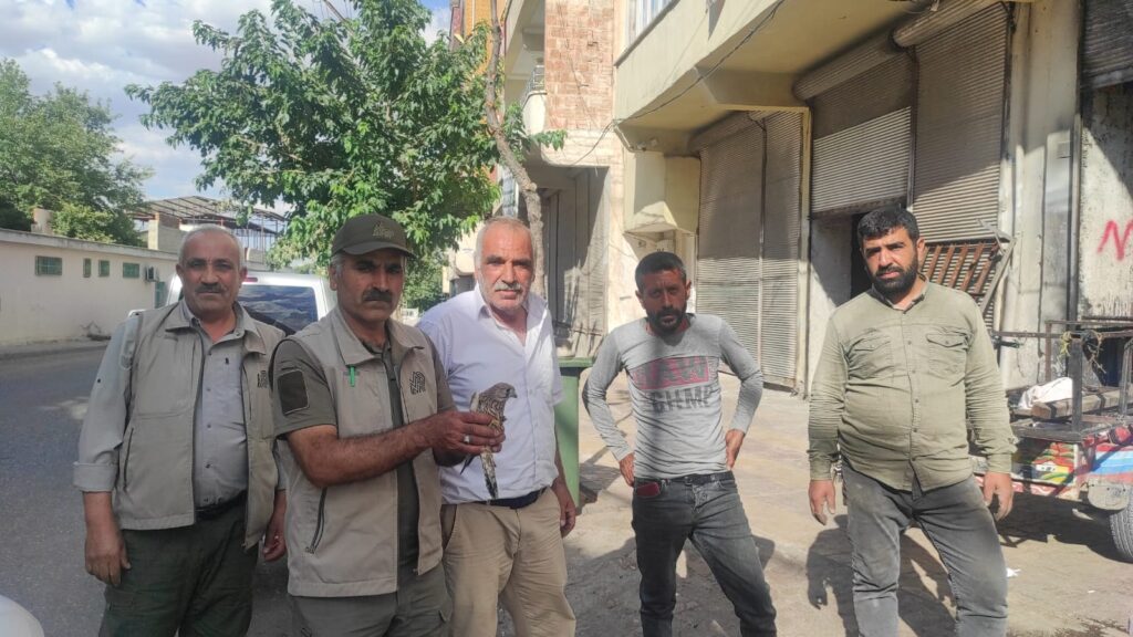 Şanlıurfa’da vatandaşlardan duyarlı davranış