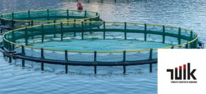 Su ürünleri üretimi arttı