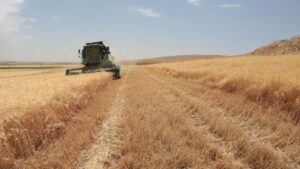 Tarımsal destek ödemeleri başladı