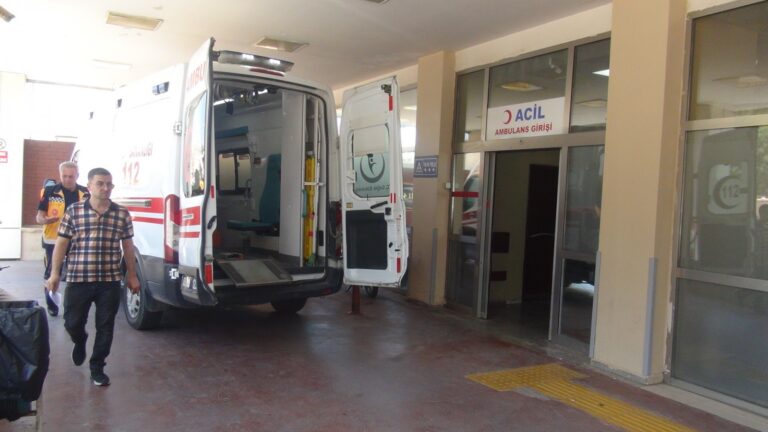 Haliliye’de bir köpek saldırısı daha!