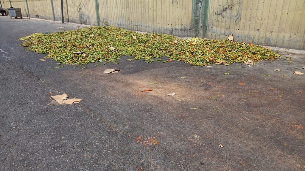 Şanlıurfa’da esnaf biberleri istedikleri fiyata satamayınca çöpe atıyor!