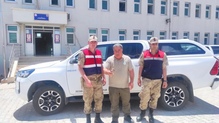 Halfeti’de yaralı halde yavru kerkenez kuşu bulundu