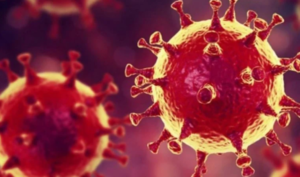 Centaurus varyantı geliyor!