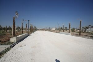 Eyyübiye Millet Bahçesi’nde ağaçlandırma çalışması tamamlandı