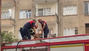 Haliliye’de 3 itfaiye eri bir vanayı açamadı!