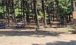 İçişleri Bakanlığı’ndan 81 il valiliğine ‘orman yangınları tedbirleri’ genelgesi