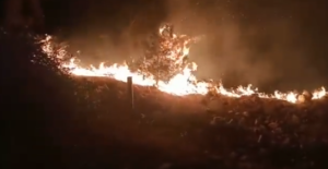 Urfa’da orman yangını!