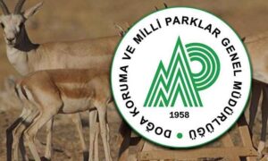 Şanlıurfa’da kaçak avcılık yapan 12 kişiye para cezası